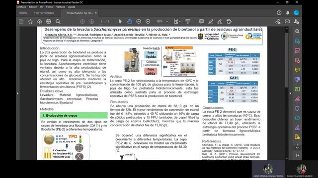 Desempeño de la levadura Saccharomyces cerevisiae смотреть онлайн