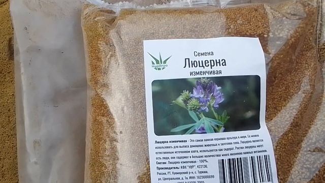 17 мая 2024 г. смотреть онлайн