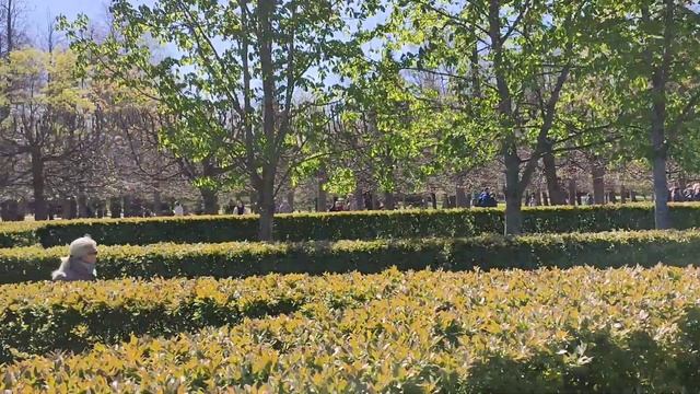 Петергоф. Нижний парк. Невская губа. смотреть онлайн