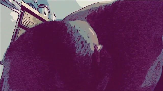 Day 89 (100 push ups) смотреть онлайн