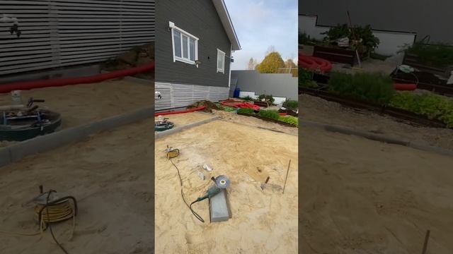 22 ноября 2024 г.