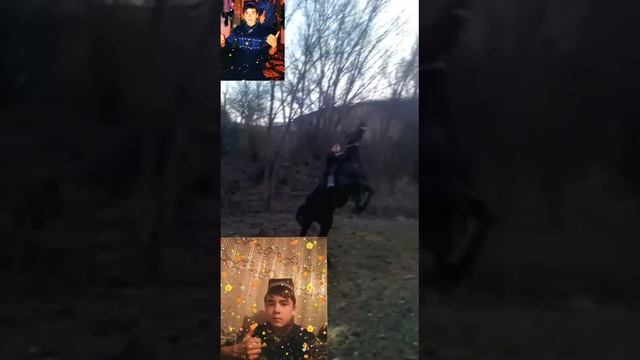 Диербек Мухамедов смотреть онлайн