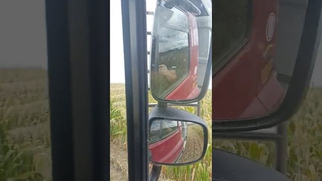 Začátek kukuřice 2023 смотреть онлайн