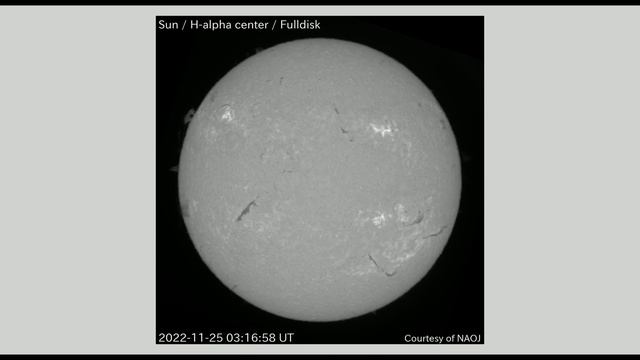 太陽 Hα全面観測 全面画像 2022年11月25日(Sun H-alpha Full Scale Observation, Full Image, Nov. 25, 2022) смотреть онлайн
