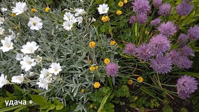 3 июня День Елены . Что нельзя делать 3 июня в день Елены . Народные приметы и традиции Дня смотреть онлайн