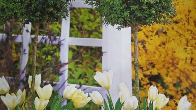 Пора на природу! Гороскоп с 1 по 6 мая 2018 смотреть онлайн