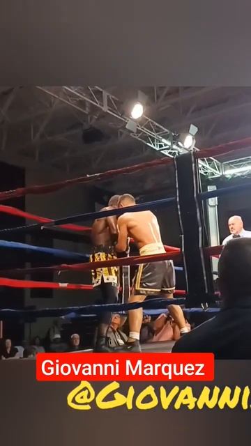 Giovanni Marquez and Bryan Springs gave the crowd a show!! #boxing #RaulMarquez смотреть онлайн