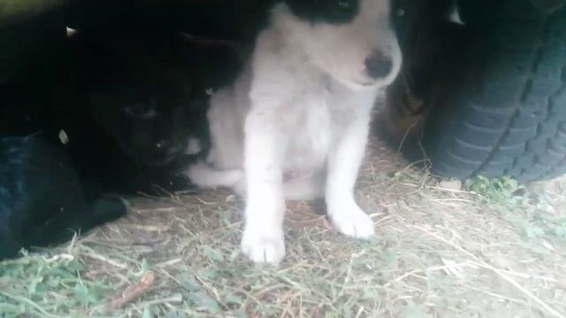 2_5195390267435277899