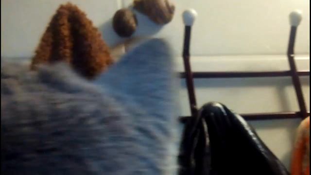 НЛО ( Нашествие Лазающих Объектов))))))) смотреть онлайн