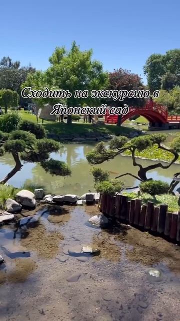 Чем заняться в Буэнос Айресе часть 1 ❤️