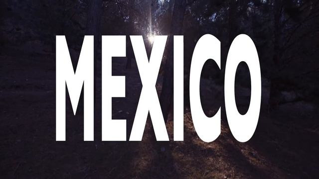 La Coqueta X Plant-for-the-Planet : Reforestation Project Update, Granada 2022