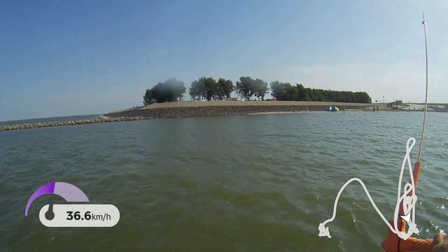 Foilsession # 112 Moses Comet Havok Wings Ocean Rodeo Prodigy