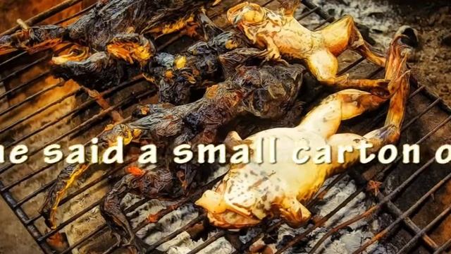Frog meat business booms in Kano смотреть онлайн