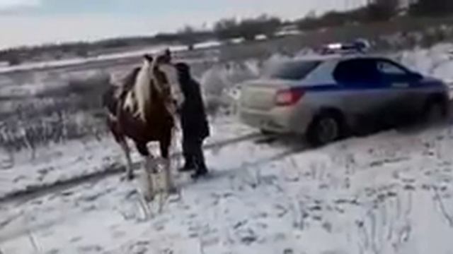 Сеть насмешила российская «миссия на Марс» смотреть онлайн