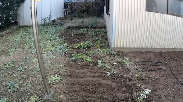 musashi 除草バイブレーター WE-700 性能チェック