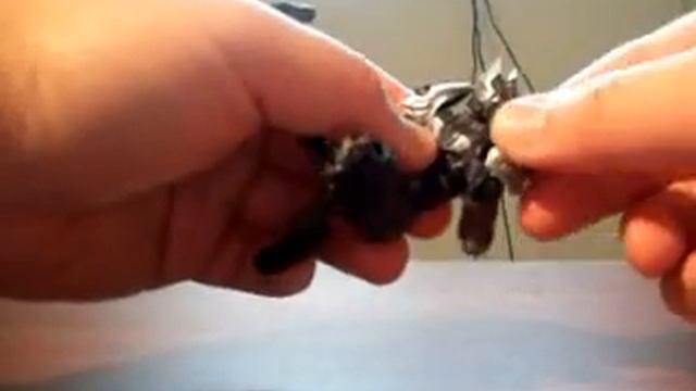 [Rider-Fest] S.I.C. Kiwami Tamashii Kamen Rider Knight review смотреть онлайн