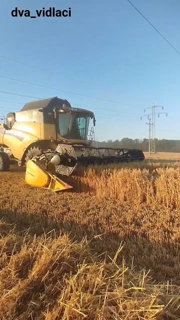 New Holland CX 8080💛🚜👨🏻🌾 смотреть онлайн