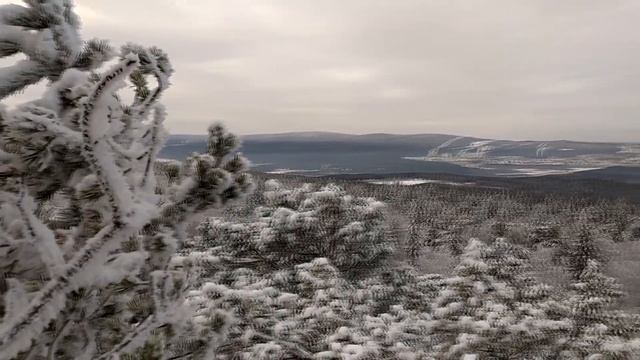 Скалы Семибратка - прогулка по экотропе смотреть онлайн