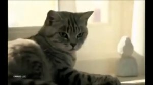 Анонс и рекламный блок (Первый канал, 30.03.2013)