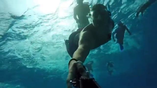 Swimming with Dolphins at Sataya Marsa Alam, Egypt. смотреть онлайн