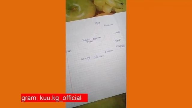 Дистанттык сабак берүүлөр уланууда.