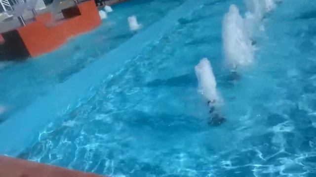 Новый фонтан УРА!!! г. Дзержинск Т.Д. "Меркурий" смотреть онлайн