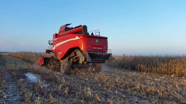 Laverda M306 - Gusenice