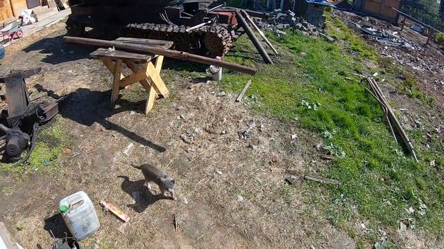 31.05.2021 смотреть онлайн