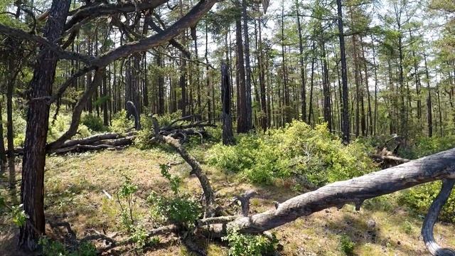 Severobaikalsk (Russia) смотреть онлайн