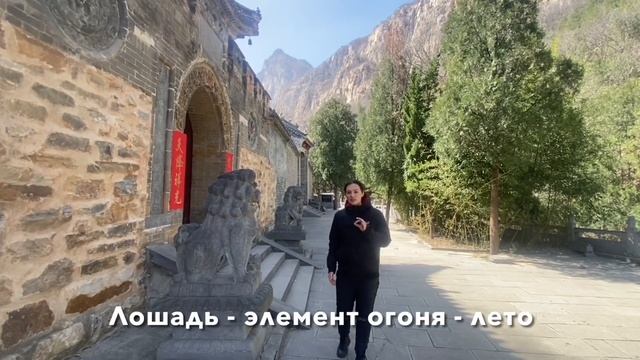 Тайцзи 18 форм стиль Чень. И почему у карты Китая образ «птицы». Вступление. смотреть онлайн