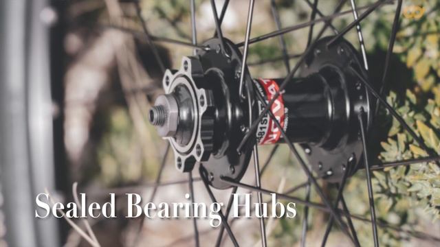 CD Quality 29” MTB Wheelset WH-WB-M13-QQN1 смотреть онлайн