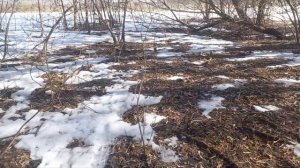 Весенний КоП на старой ферме!!!