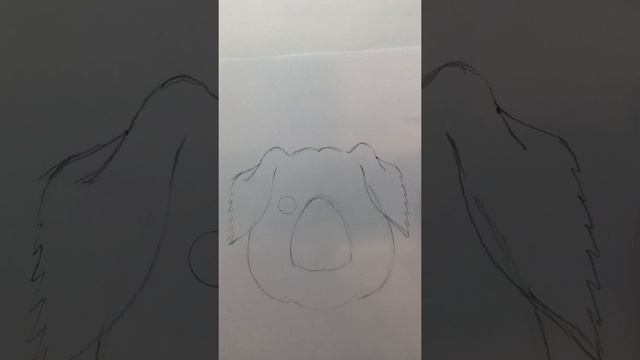 Learn to Draw Mercy Watson with Chris Van Dusen! смотреть онлайн