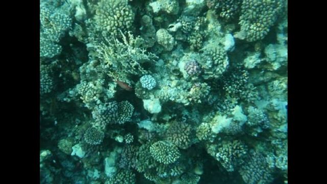 Marsa Alam 2014 смотреть онлайн