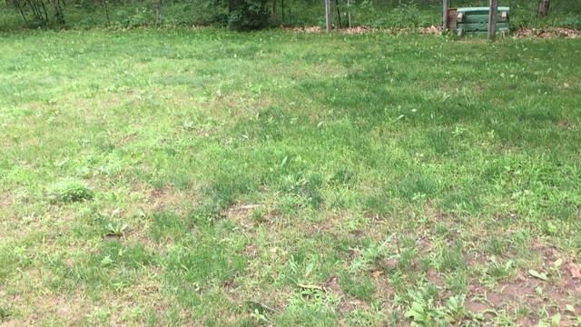 Yard Machines 125cc 20 Inch Push Mower | Budget Push Lawn Mower from Amazon смотреть онлайн