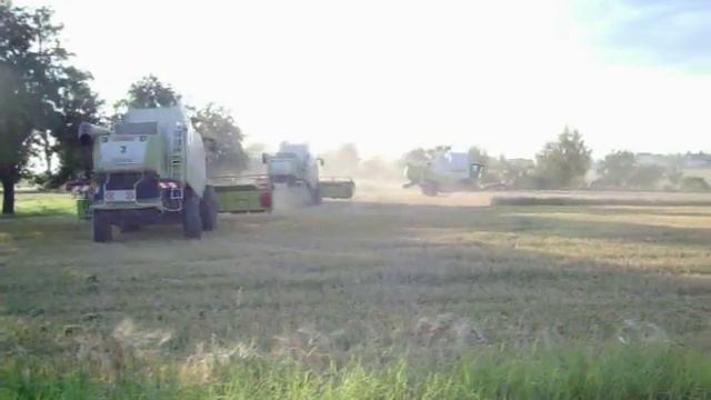 Claas Lexion 560 (14) смотреть онлайн