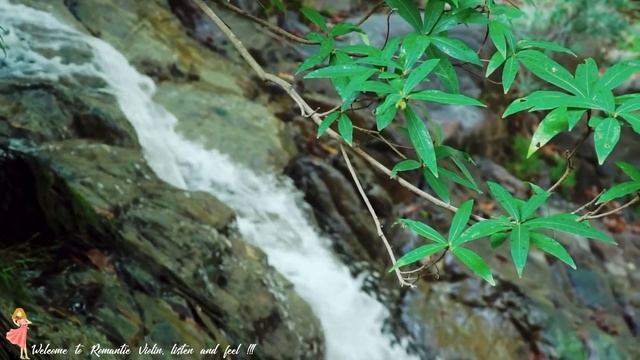2 Hours Greatest Classical Violin Music - Emotional & Soothing Relaxation смотреть онлайн