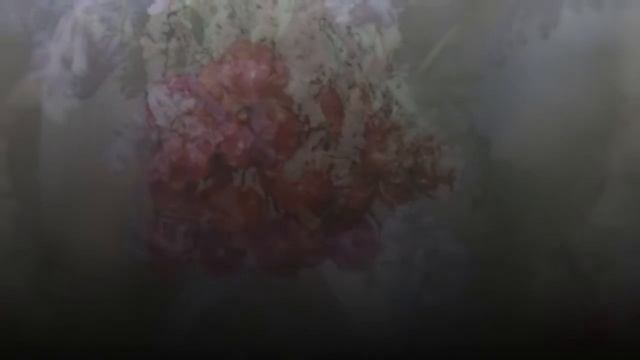 ИЗБРАННЫЕ ФОТО ДНЯ КМП