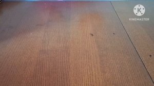 обзор на коллекцию DVD - дисков 19 часть (4 ремейк)