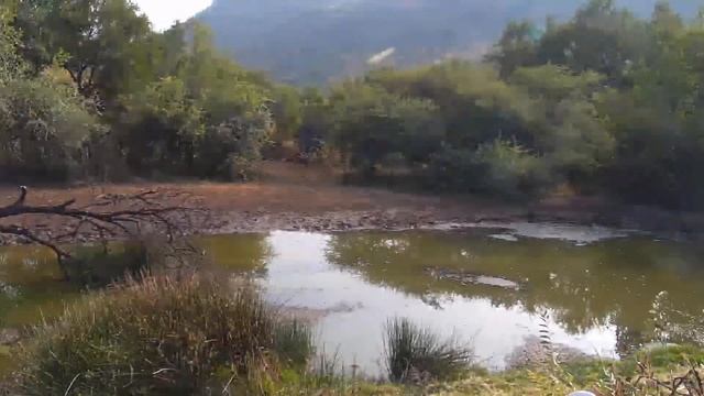 The Occasional Solar Flash, 