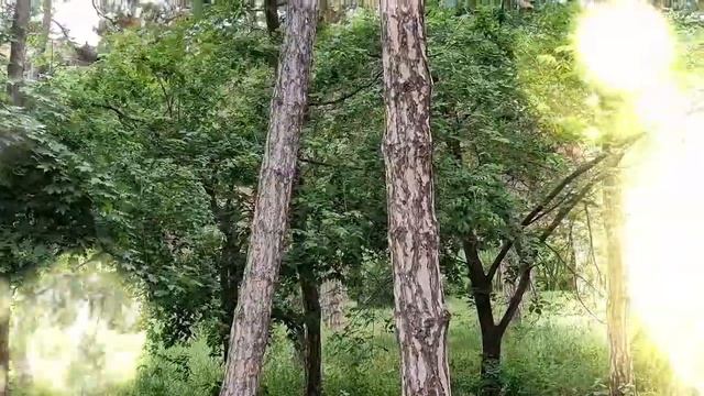 10 самых шокирующих предсказаний на 2024 год смотреть онлайн