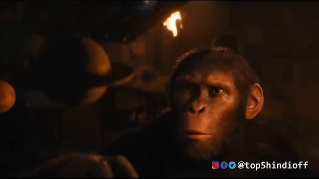 Kingdom of the Planet of the Apes💥 & Srikanth🤩 Box Office Collection || @top5hindireview смотреть онлайн