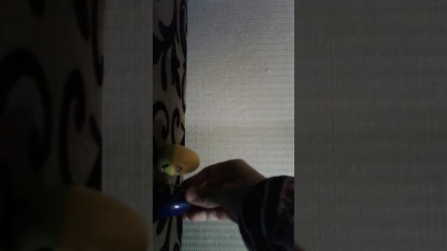 1 серия треснутых