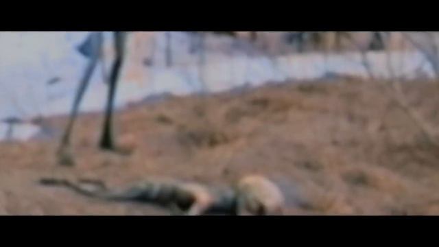 ПРИШЕЛЕЦ ВЫНЕС РАНЕННОГО ПРИШЕЛЬЦА К НАМ,ЧТОБЫ МЫ ЕМУ ПОМОГЛИ! НЛО В НЕБЕ РАССЫП