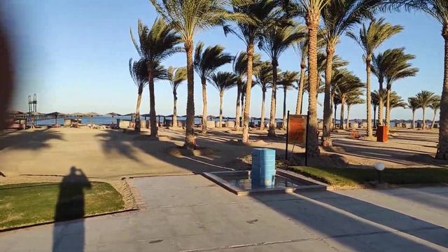 Пляжная полоса отеля Magic Tulip  Марса Алам.Январь 2022 года.