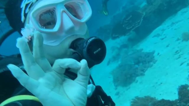 Sunroad scuba free diving watch computer смотреть онлайн