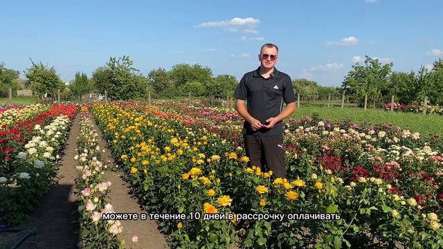 ОТКРЫТ ПРИЕМ ЗАКАЗОВ ОСЕНЬ 2024 - ОТКРЫТ 😎🌹👋 смотреть онлайн