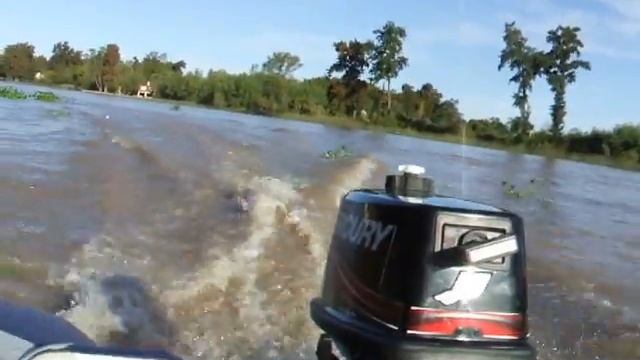 Mercury 5 hp y gomon Tozzoli смотреть онлайн