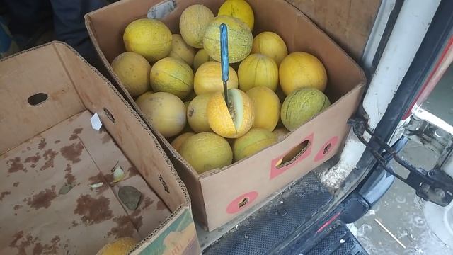 Цены сегодня Рынок ВЕЛИКІ КОПАНІ 17 июня. Виноград 300 грн. смотреть онлайн