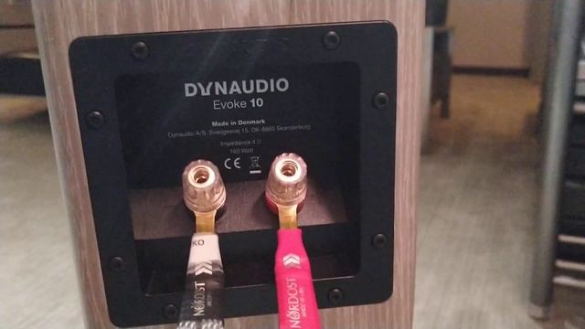 Dynaudio Evoke 10 Speakers